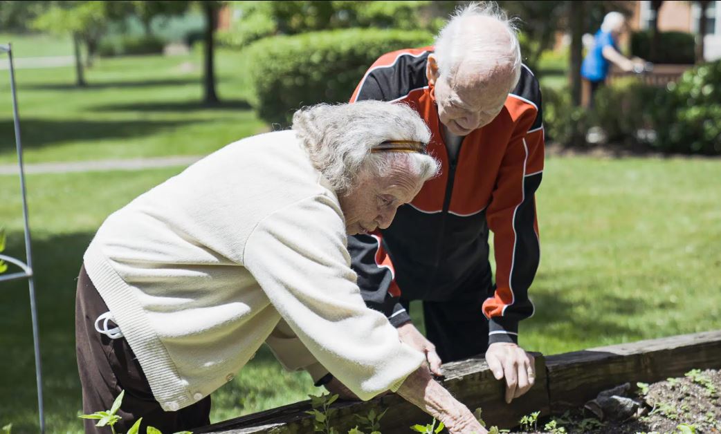 4 Reasons Seniors Choose an Independent Living Lifestyle 4 Reasons Seniors Choose an Independent Living Lifestyle