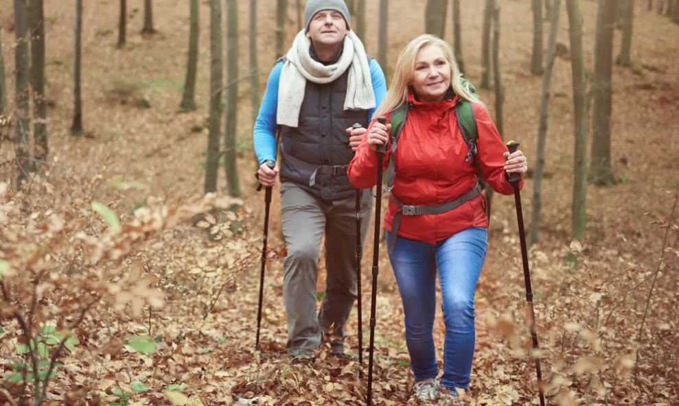 Fall Activities and Hobbies for Seniors Fall Activities and Hobbies for Seniors