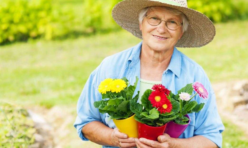 Gardening for Wellness in Senior Living Gardening for Wellness in Senior Living