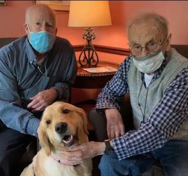 The Benefits of Pet Therapy for Seniors The Benefits of Pet Therapy for Seniors